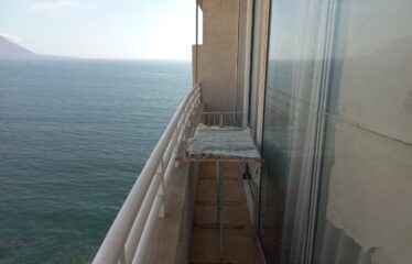 PUNTA CAVANCHA – DEPTO 2503